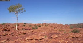 Das australische Outback. Foto: Julia Gebhardt/Pixelio