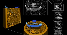 3D-Aufnahmen von Plastikteilchen im Boden