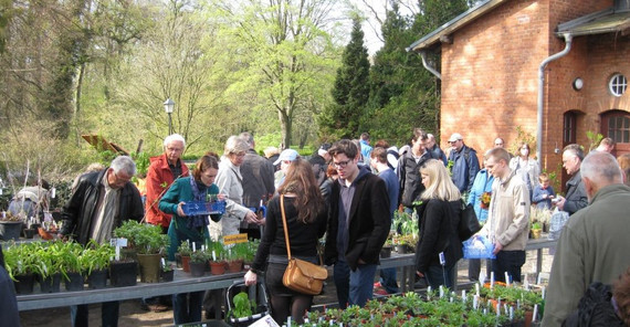 Pflanzenbasar, Foto: Botanischer Garten Pflanzenbasar, Foto: Botanischer Garten