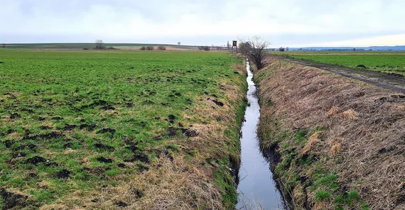 Donaumoor