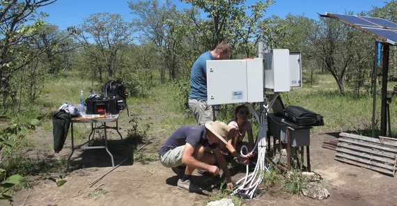 Doktorand Tim Herkenrath (stehend), Masterstudentin Helena Wiskott und Niels Blaum (mit Hut) beim Anschluss von Messsensoren an die Campbell Logger. Die Transpirationsmessungen werden alle 30 Minuten gespeichert. Solarpanele versorgen die Sensoren und Logger. | Foto: Dr. Katja Geissler