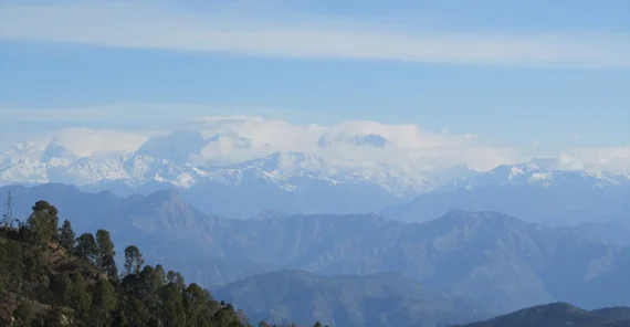Die Arbeit erwies sich als echte Feldforschung: Nachdem die Forscher von Kathmandu aus mit einem Propellerflugzeug nach Dhangadhi geflogen waren, legten sie noch mehr als 500 weitere Kilometer in der Tiefebene und im Mittelland Nepals zurück – mit dem Geländewagen. Foto: Bastian Jantz