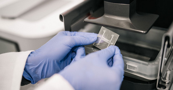 Close-up im Labor von Händen in Laborhandschuhe, die einen großen technischen Chip halten.