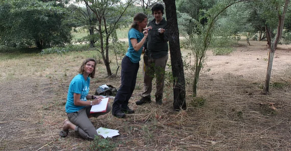 Potsdam researchers from Prof. Dr. Anja Linstädter's research group (left) taking samples in Namibia.