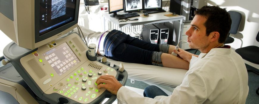 Health Sciences at the University of Potsdam. The photo is by Sören Stache. When you click on it, the picture opens in a new window.