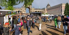 Ein Blick auf die Marktstände beim Campusfestival. Viele Leute tummeln sich auf der Wiese vor Haus 9 und der Kolonnade am Campus Am Neuen Palais, welche im Hintergrund zu erkennen sind.
