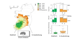 Rötelmäuse wurden 1920 von Mitteleuropa nach Irland eingeschleppt und breiten sich seither über die Insel aus. An mehreren Studienorten (schwarze Punkte) wurde das Verhalten von Tieren untersucht. Tiere der Ausbreitungszone (orange) sind vorsichtiger und weniger aktiv als Tiere in der etablierten Zone (grün), sie explorieren aber auch ausführlicher.