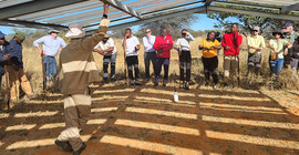 group of people visiting a farm