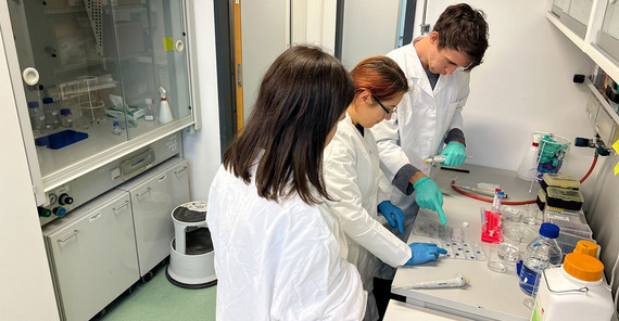 Forschende des DeDNAed Projekts im Labor Forschende des DeDNAed Projekts im Labor