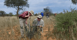 Zwei Forschende führen wissenschaftliche Messungen in der afrikanischen Savanne durch