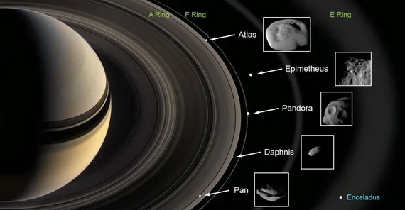 Abbildung: Cassini-Aufnahmen der fünf Saturnmonde, die sich auf Bahnen in den Ringen (Pan und Daphnis) bzw. etwas außerhalb derselben um den Planeten bewegen. Die Materialanhäufungen („Bauchbinden“) in den Äquatorregionen von Pan, Daphnis und Atlas belegen die gravitative Anlagerung von Ringmaterial. Daher muss sich auch Atlas einst inmitten der dichten Ringe befunden haben. Quelle: NASA-JPL/Caltech