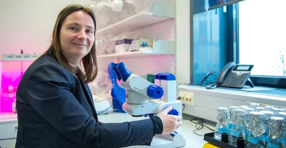 Prof. Dr. Elke Dittmann