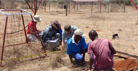 Forschende und Studierende aus Deutschland und Südafrika sammeln Daten zur Zusammensetzung der Vegetation im Rahmen des südafrikanischen Dürre-Experiments im Freien. Die Umgebung scheint stark arid.