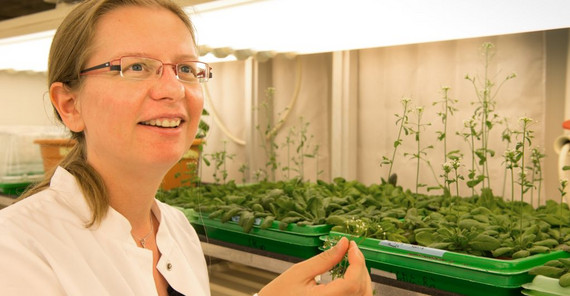 Foto: Karla Fritze Foto: Karla Fritze