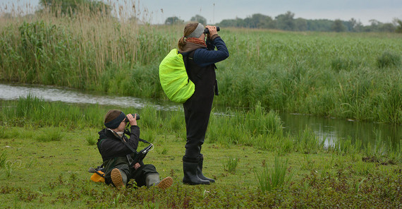 Studentinnen am grünen Ufer, die mit Ferngläsern Beobachtungen vornehmen.