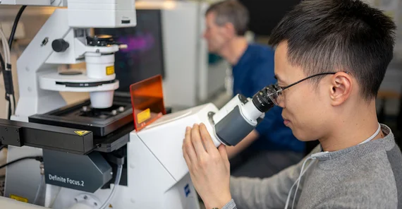Van-Cuong Pham works at the microscope.