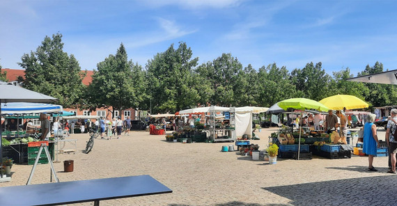 Blick auf einen Potsdamer Wochenmarkt